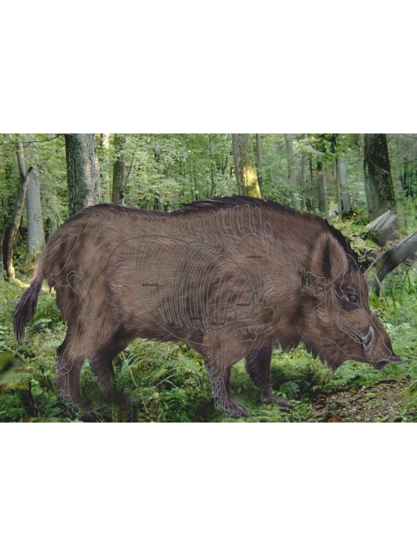 Мишень Кабан