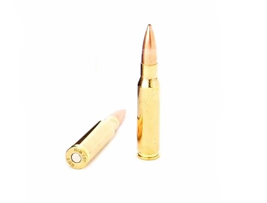 Патрон .308W DN 12.3 Target Elite /1шт.