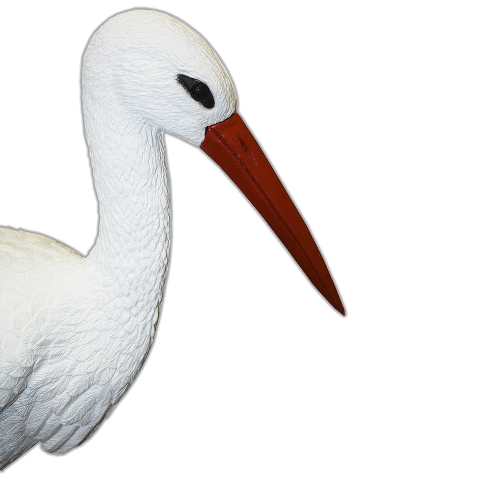 Аист Sport Plast /1700BS/