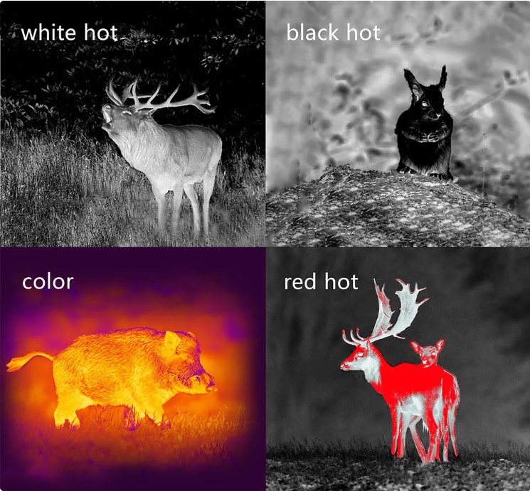 Тепловизионный монокуляр PARD TA 32-19