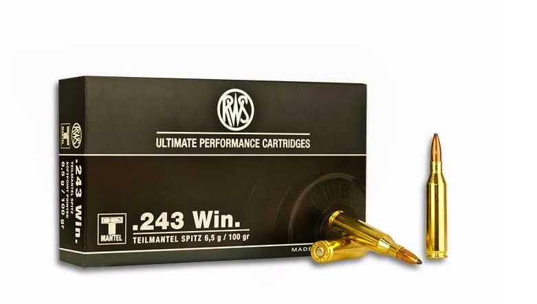 Патрон .243W DN 6.5 TMS/1шт.