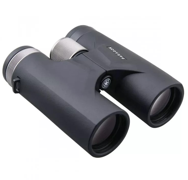 Бинокль Vector Paragon 8x42 BAK4 IPX6 (SCBO-03) (1)