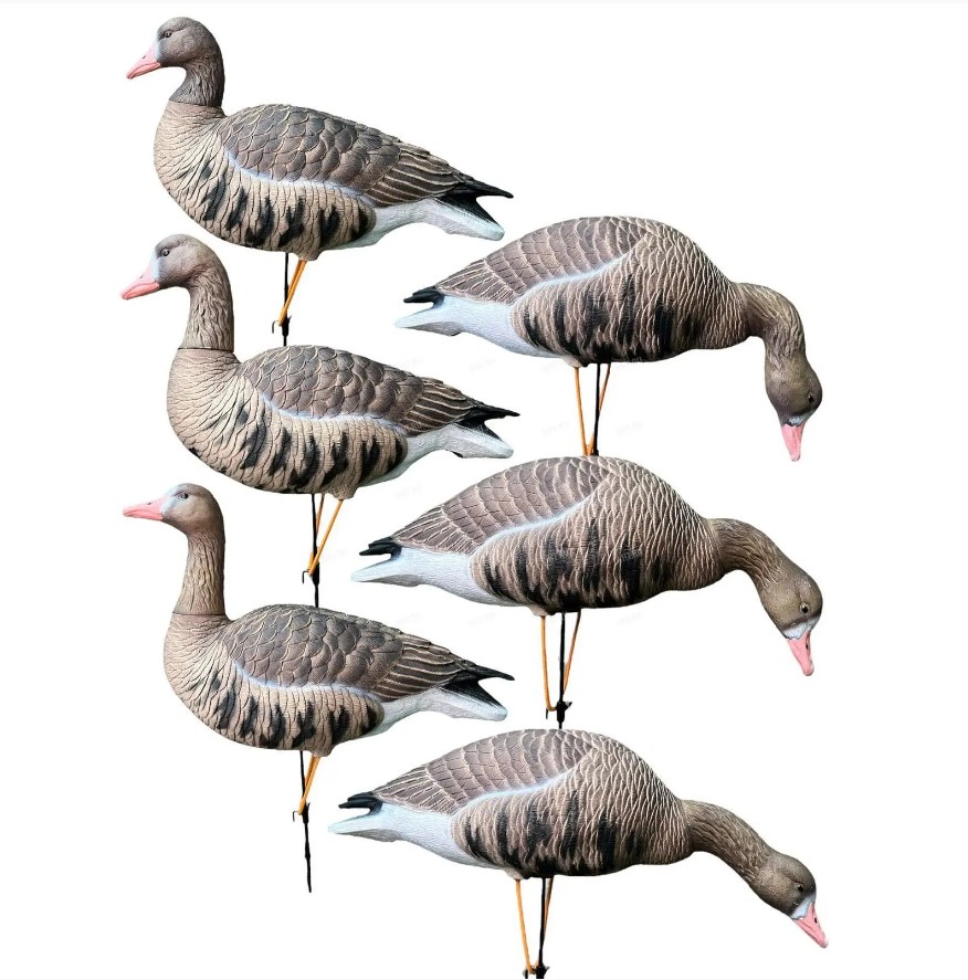 Гусь белолобый Oscar Decoys Avian-Mix Elite 3D (комплект 6шт) /ESG6/ (1)