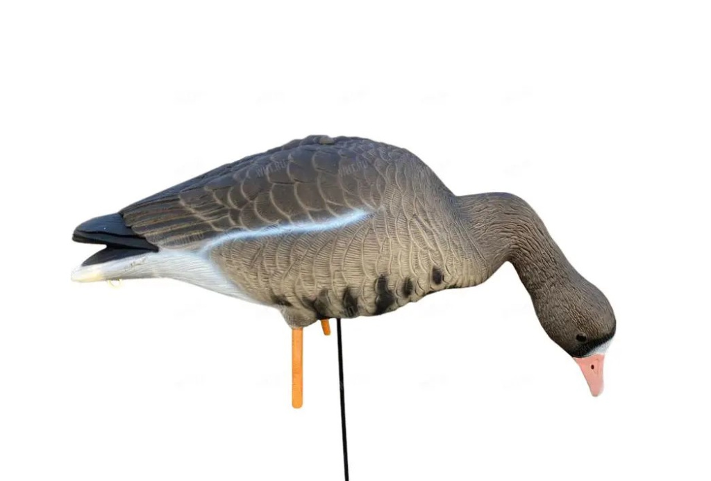 Гусь белолобый Oscar Decoys Elite 3D Speckbelly Goose (комплект 10шт) /ESG10/ (1)