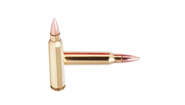 Патрон .223R Federal 3.6гр FMJ/1шт (1)