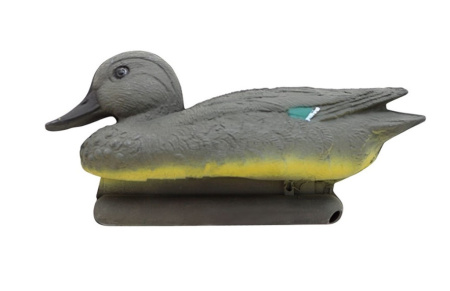 Чирок-свистунок (утка) Пеленг