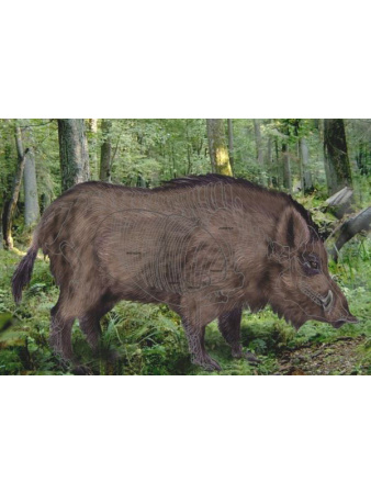 Мишень Кабан