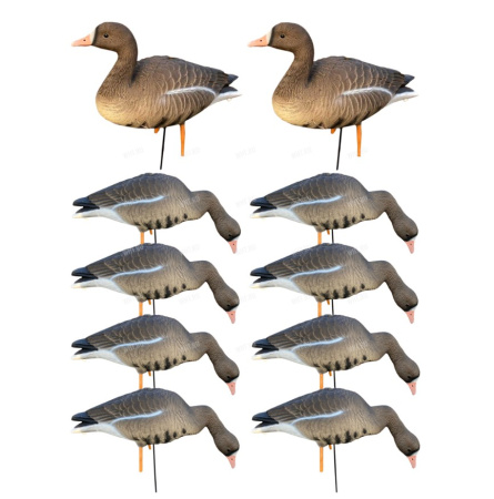 Гусь белолобый Oscar Decoys Elite 3D Speckbelly Goose (комплект 10шт) /ESG10/ (2)