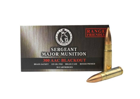 Патрон .300AAC Blackout ОБ 8,1/125 (ТПЗ) (20)/1шт