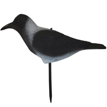 Ворона серая Sport Plast IM-751 скорлупка