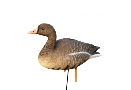 Гусь белолобый Oscar Decoys Elite 3D Speckbelly Goose (комплект 10шт) /ESG10/