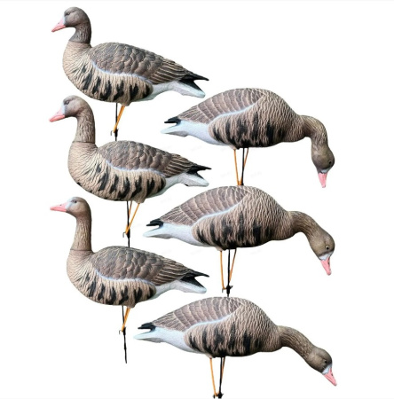 Гусь белолобый Oscar Decoys Avian-Mix Elite 3D (комплект 6шт) /ESG6/ (1)