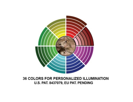 Прицел LEAPERS True Hunter 3-12x40 AO /SCP-U312AOIEW/ (3)